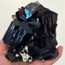 specimen video