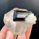 Schorl Black Tourmaline Crystal on Smoky Quartz from Pakistan - image 6