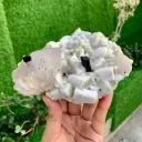 Schorl Black Tourmalines with Quartz on Feldspar from Pakistan - image 4