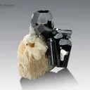 Schorl Cluster on Feldspar from Shigar Pakistan - image 2