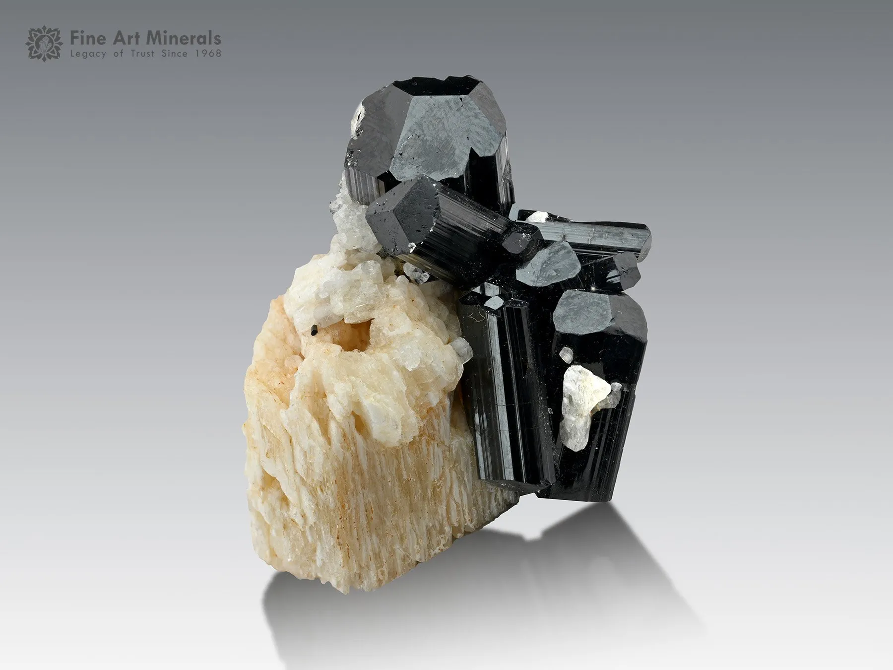 Schorl Cluster on Feldspar from Shigar Pakistan - image 2