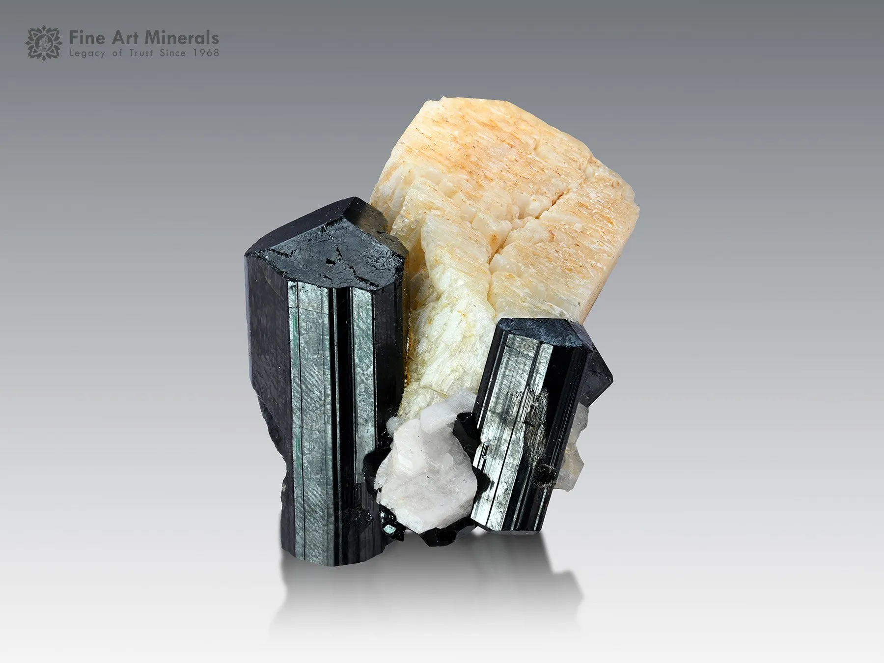 Schorl Cluster on Feldspar from Shigar Pakistan - image 1