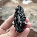 specimen video