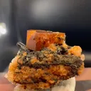 specimen video