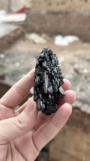 specimen video