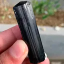 specimen video