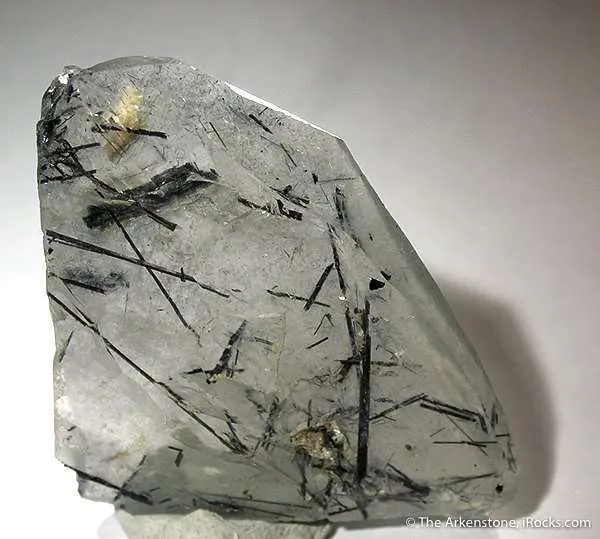 Schorl in Quartz (Floater!) image