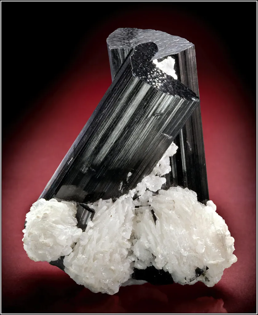 Schorl on Albite image