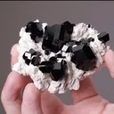 Schorl on Feldspar - image 2