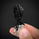 Schorl on Quartz - image 2