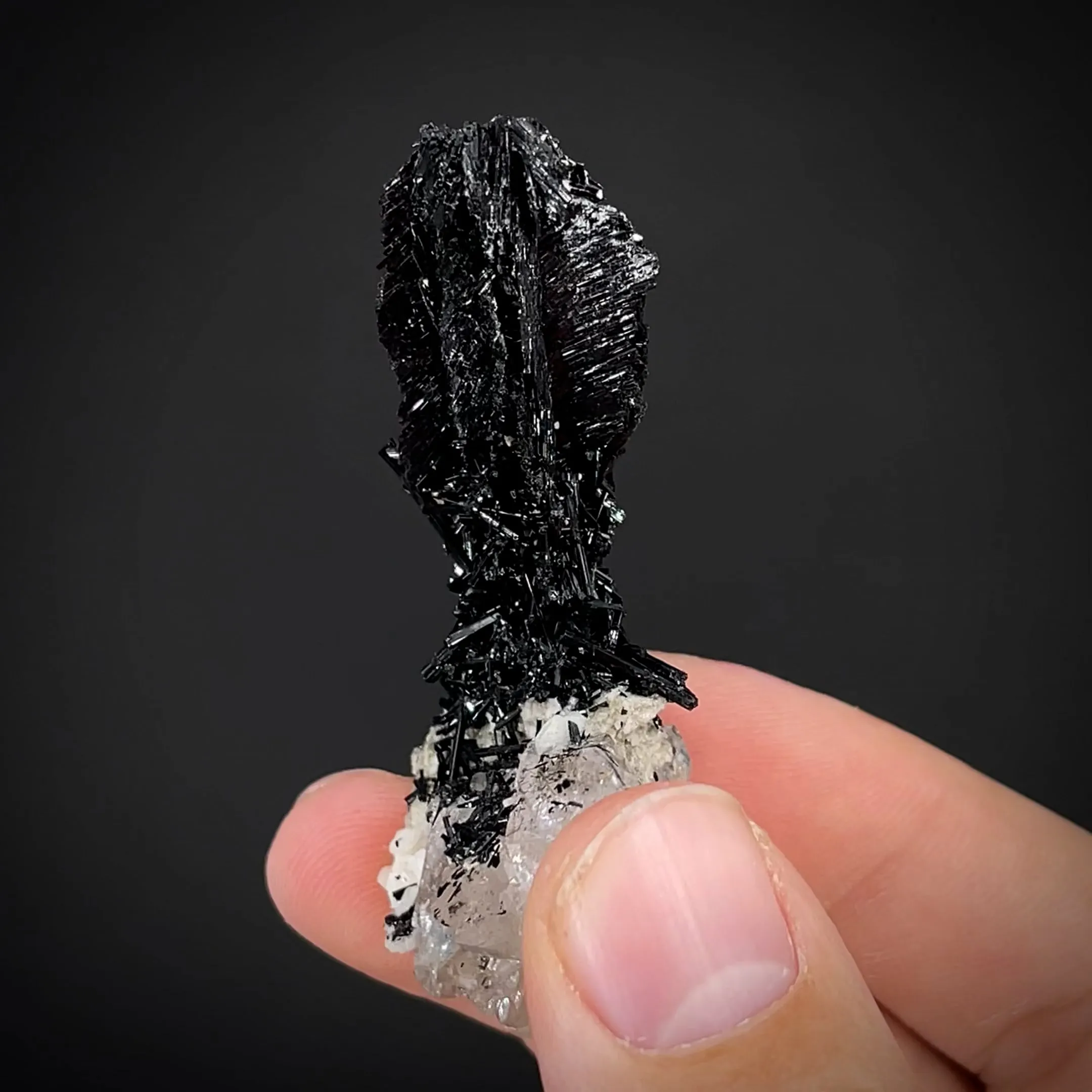 Schorl on Quartz - image 2