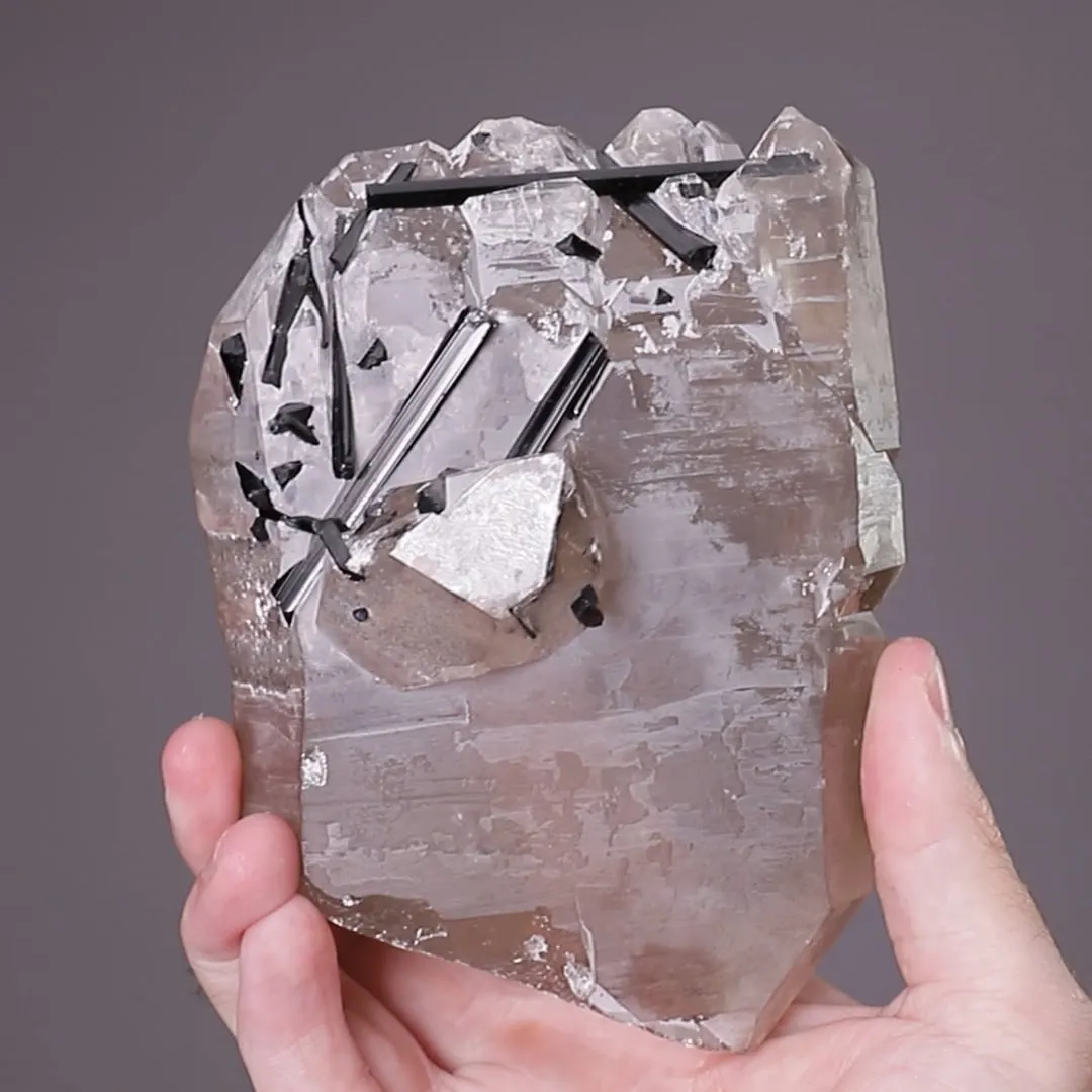 Schorl on Quartz - image 2