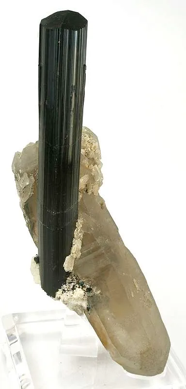 Schorl on Quartz - image 2