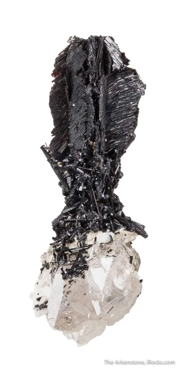 Schorl on Quartz - image 2
