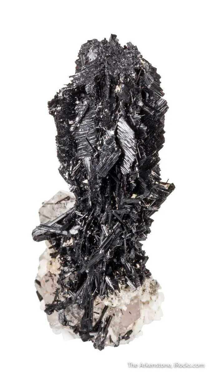Schorl on Quartz - image 6