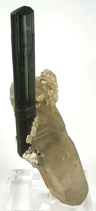 Schorl on Quartz image