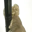 Schorl on Quartz - image 1