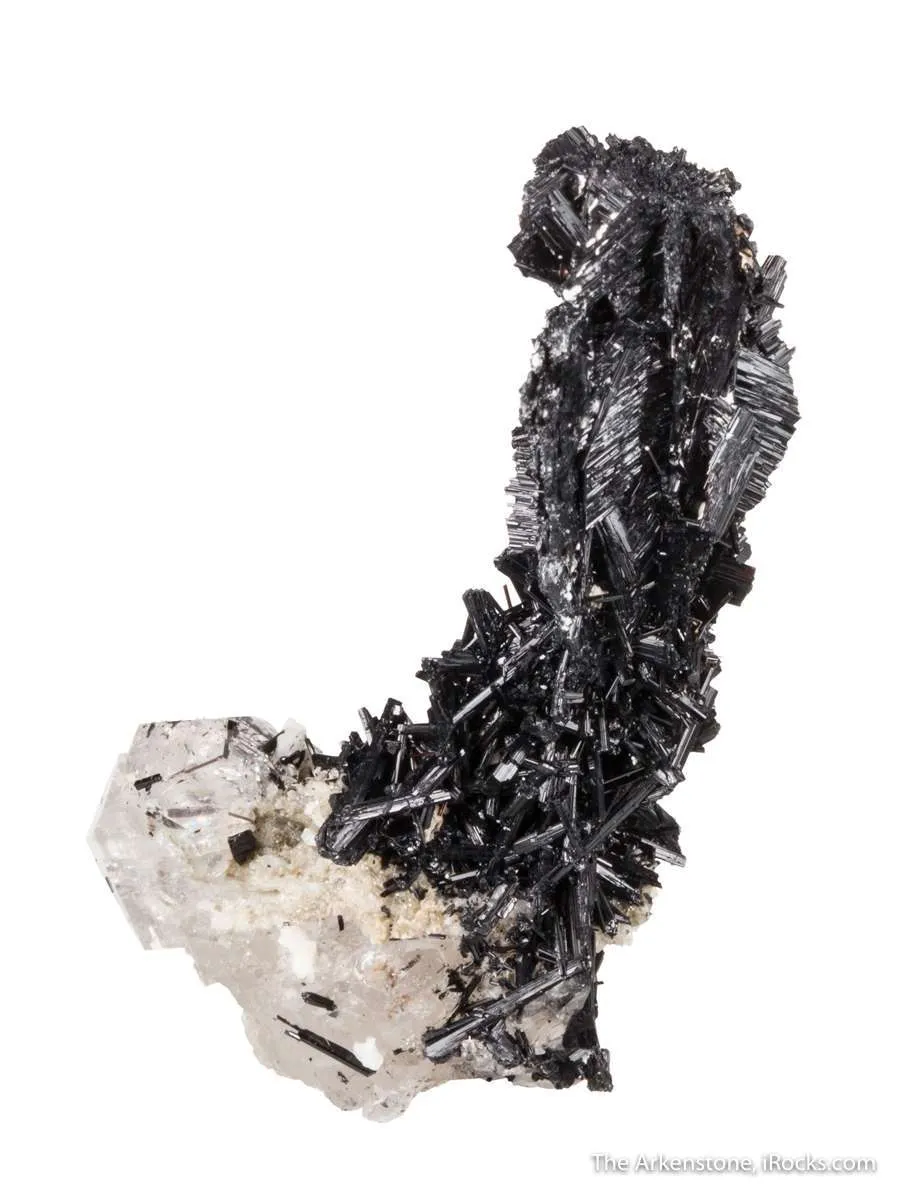 Schorl on Quartz - image 5