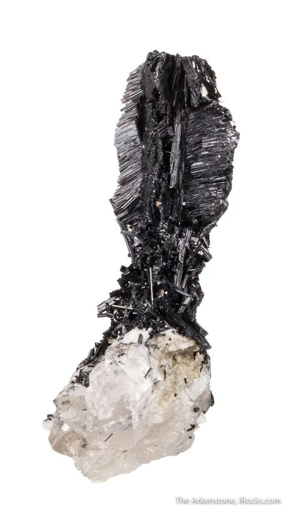 Schorl on Quartz - image 3