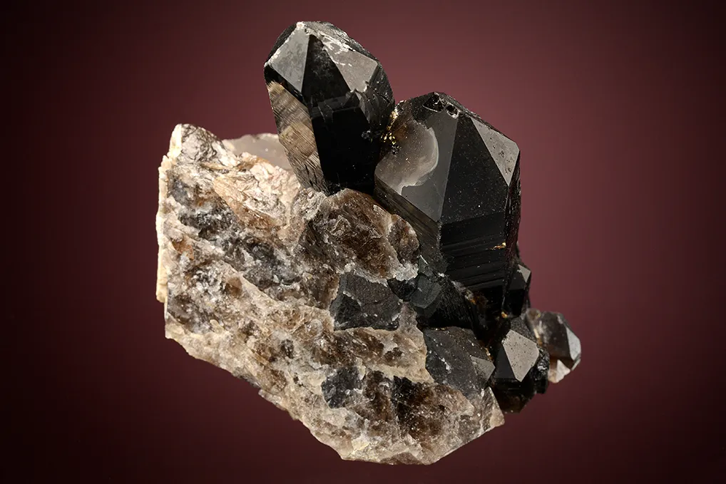 Schorl on Quartz var. Smoky - image 4