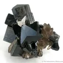 Schorl on Smoky Quartz - image 1