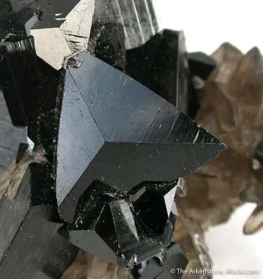 Schorl on Smoky Quartz - image 3