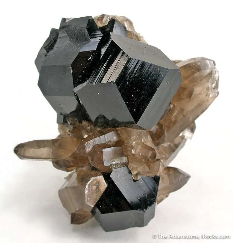 Schorl on Smoky Quartz image