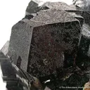 Schorl on Smoky Quartz - image 3