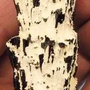 Schorl, Opal (Var: Opal-An) - image 2