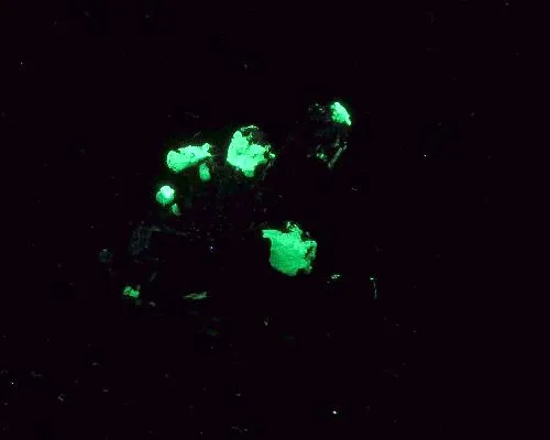 Schorl, Opal (Var: Opal-An) - image 2