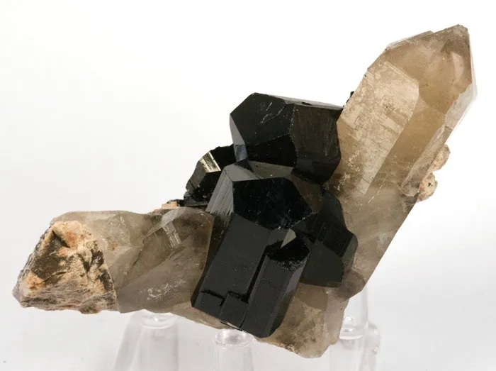Schorl, Quartz (Var: Smoky Quartz) image