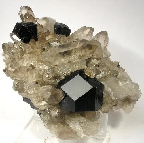Schorl, Quartz (Var: Smoky Quartz) image