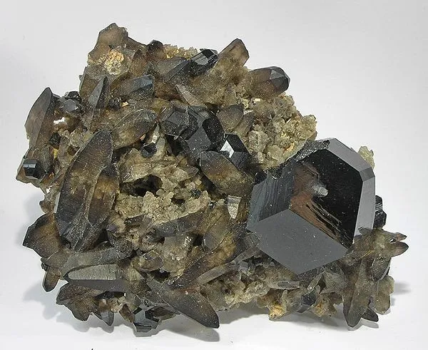 Schorl, Quartz (Var: Smoky Quartz) image