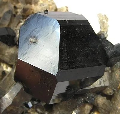 Schorl, Quartz (Var: Smoky Quartz) - image 2