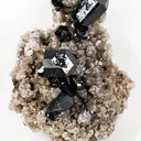 Schorl, Quartz (Var: Smoky Quartz) - image 1