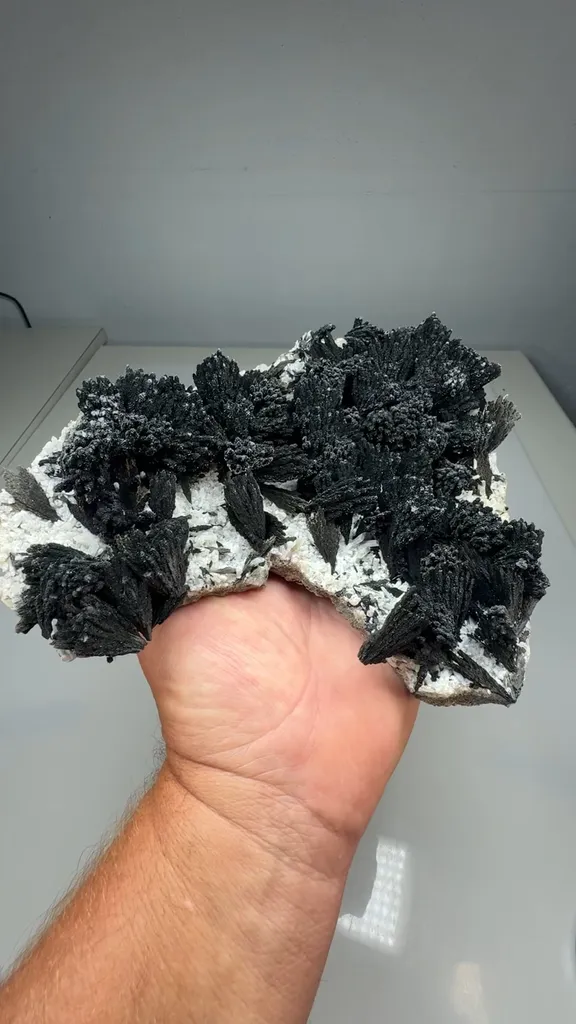 Schorl (SIL-0024) image