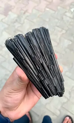 specimen video