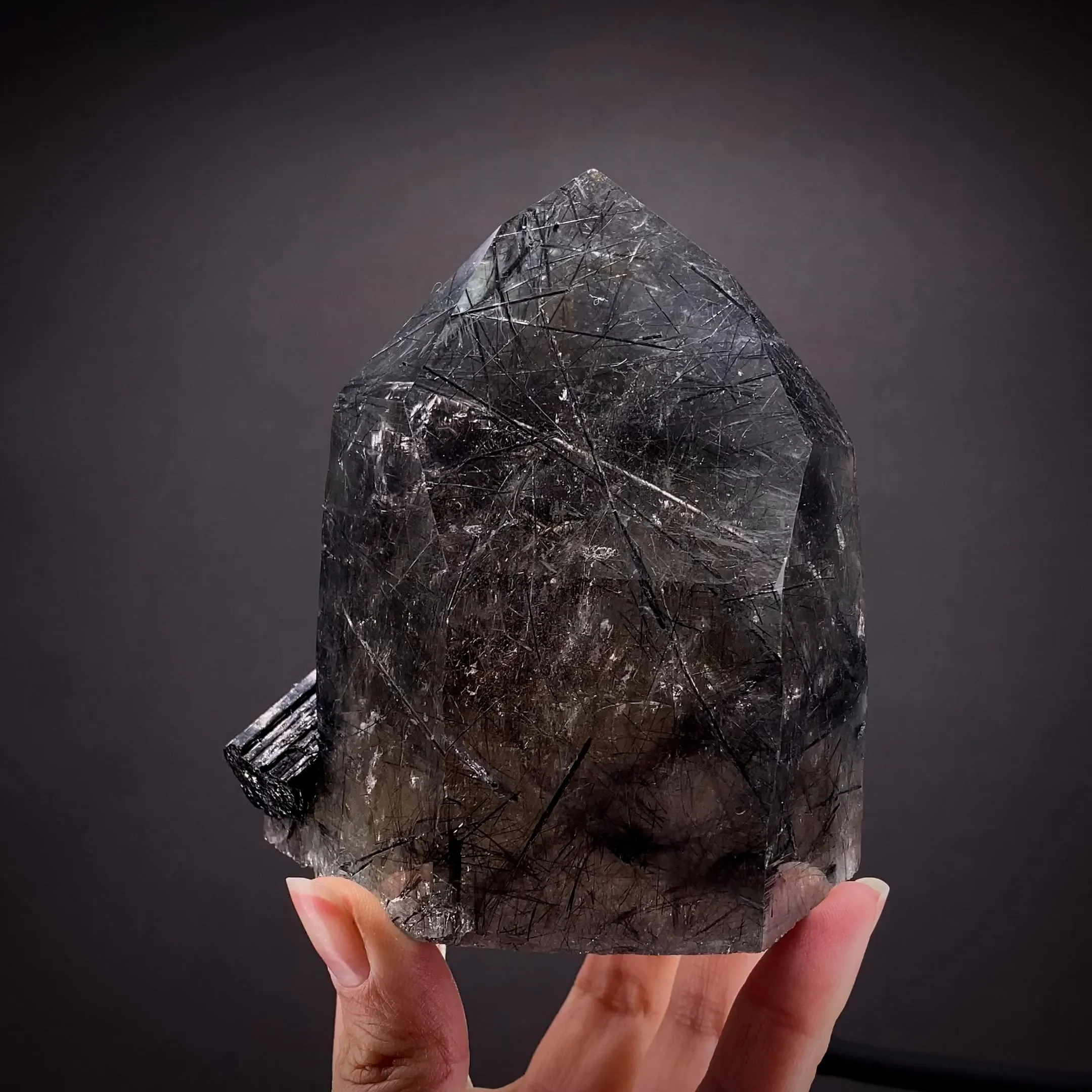 Schorl Tourmaline in Quartz - image 2