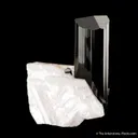 Schorl Tourmaline on Albite - image 2