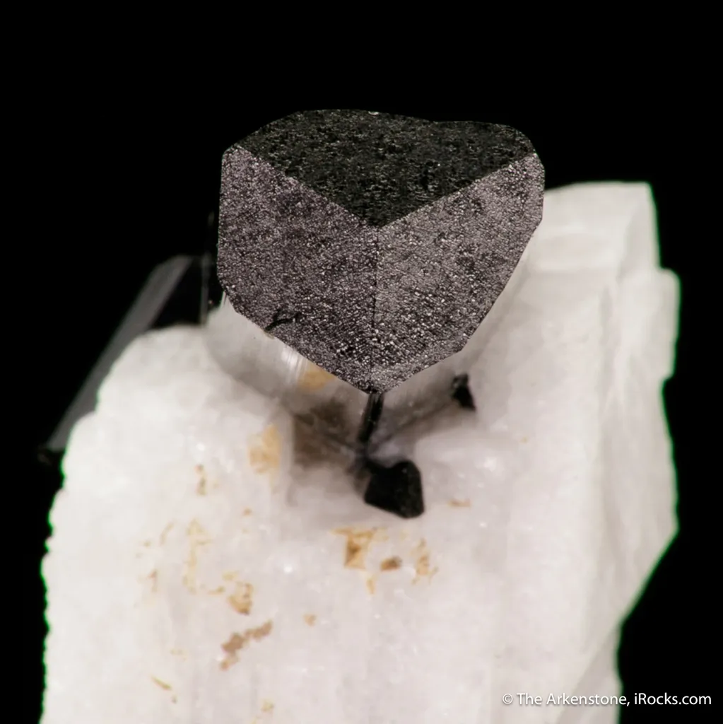 Schorl Tourmaline on Albite - image 3