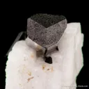 Schorl Tourmaline on Albite - image 3