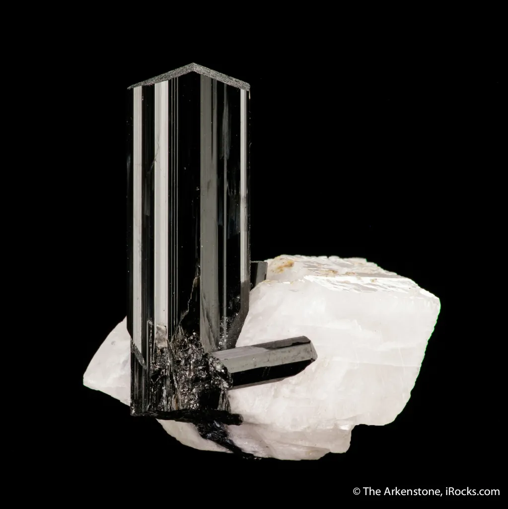 Schorl Tourmaline on Albite image