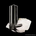 Schorl Tourmaline on Albite - image 1