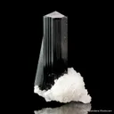 Schorl Tourmaline with Albite var. Cleavelandite - image 3