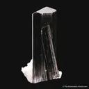 Schorl Tourmaline with Albite var. Cleavelandite - image 4