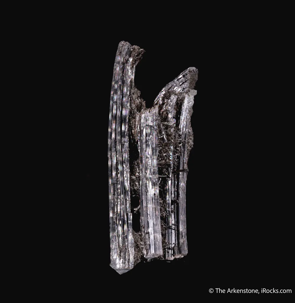 Schorl Tourmaline with natural bend - image 3