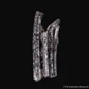 Schorl Tourmaline with natural bend - image 3