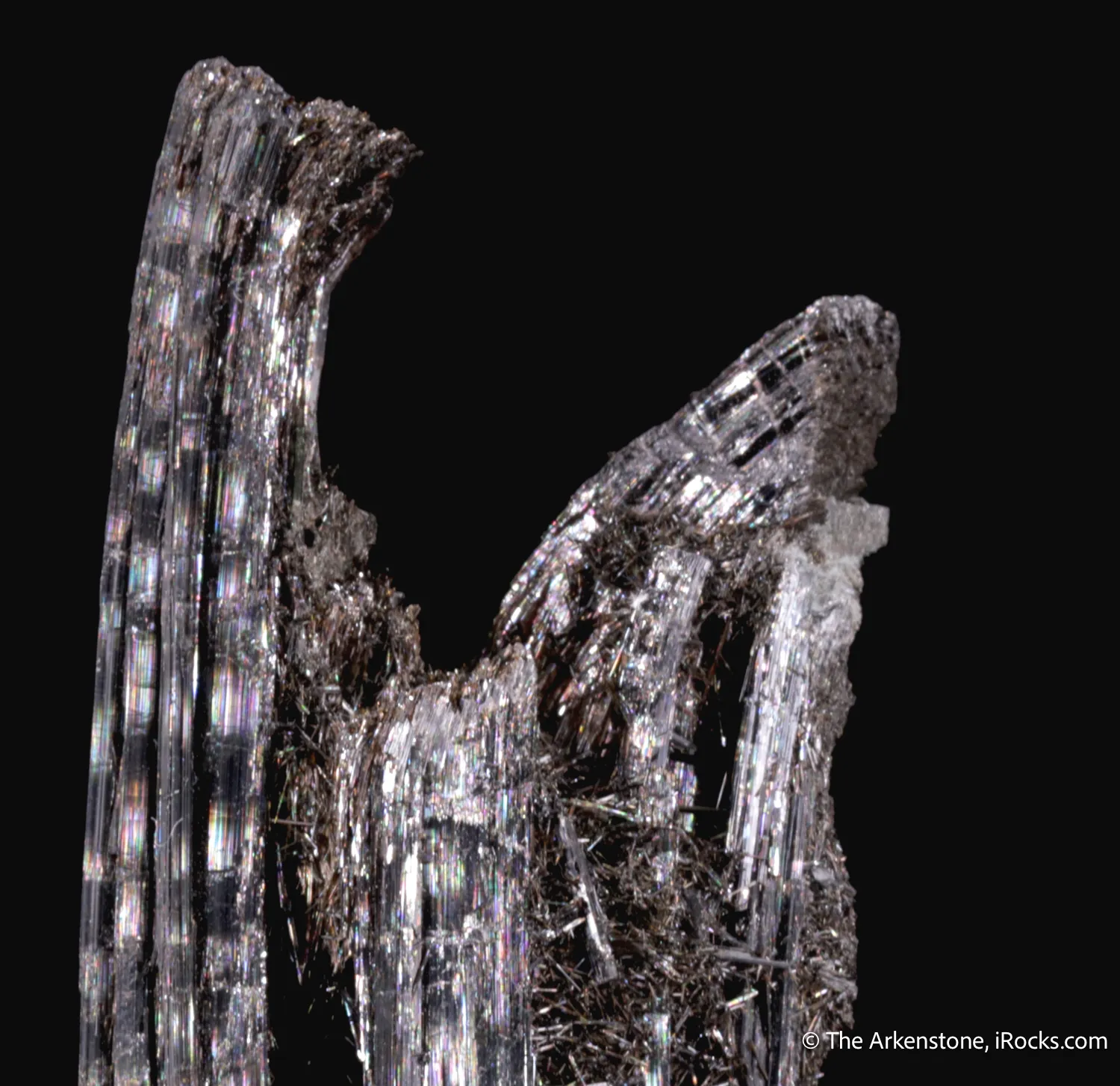 Schorl Tourmaline with natural bend - image 5
