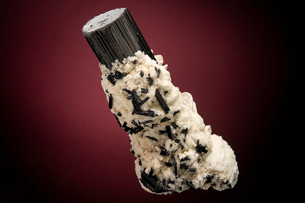 Schorl with Albite and Muscovite image