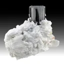 Schorl with Albite, Quartz - image 1